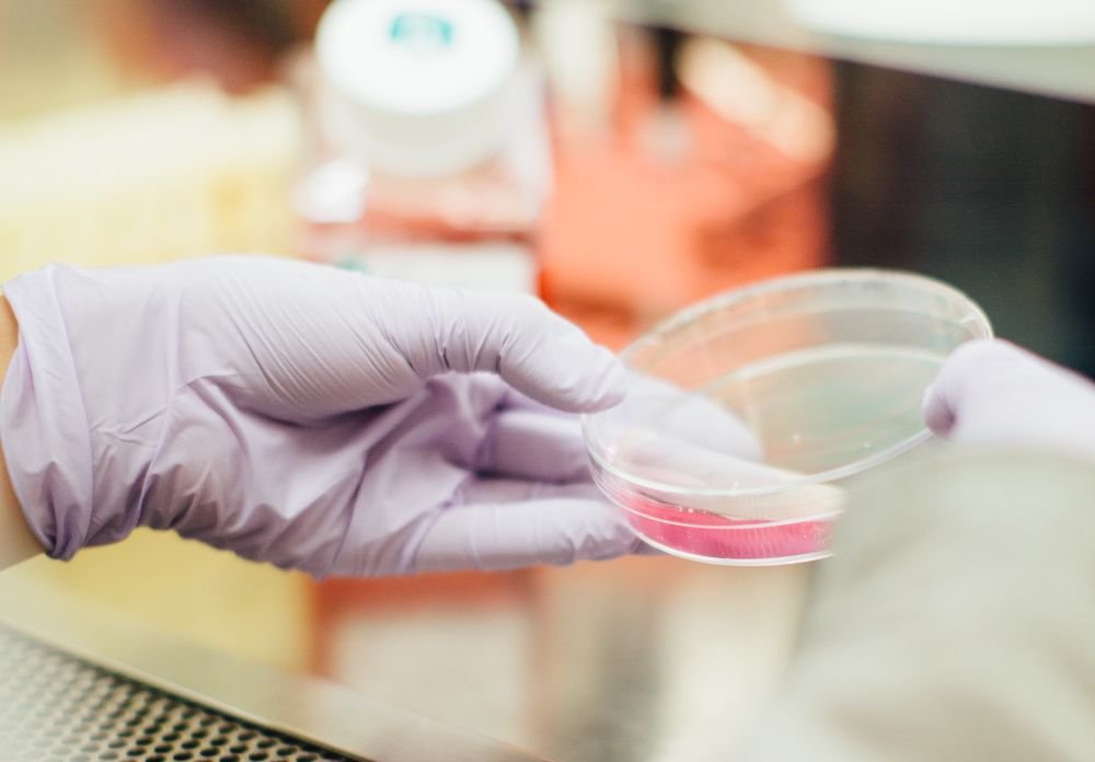 Человечеству угрожает новый смертельный вирус