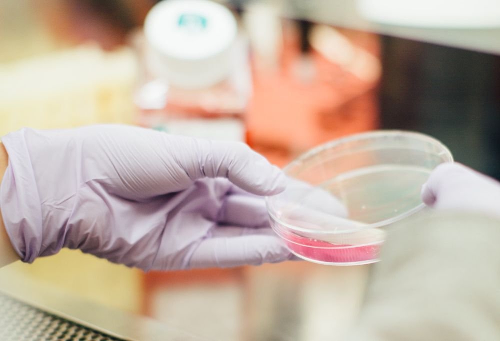 Впервые за 20 лет в мире выросла заболеваемость туберкулёзом